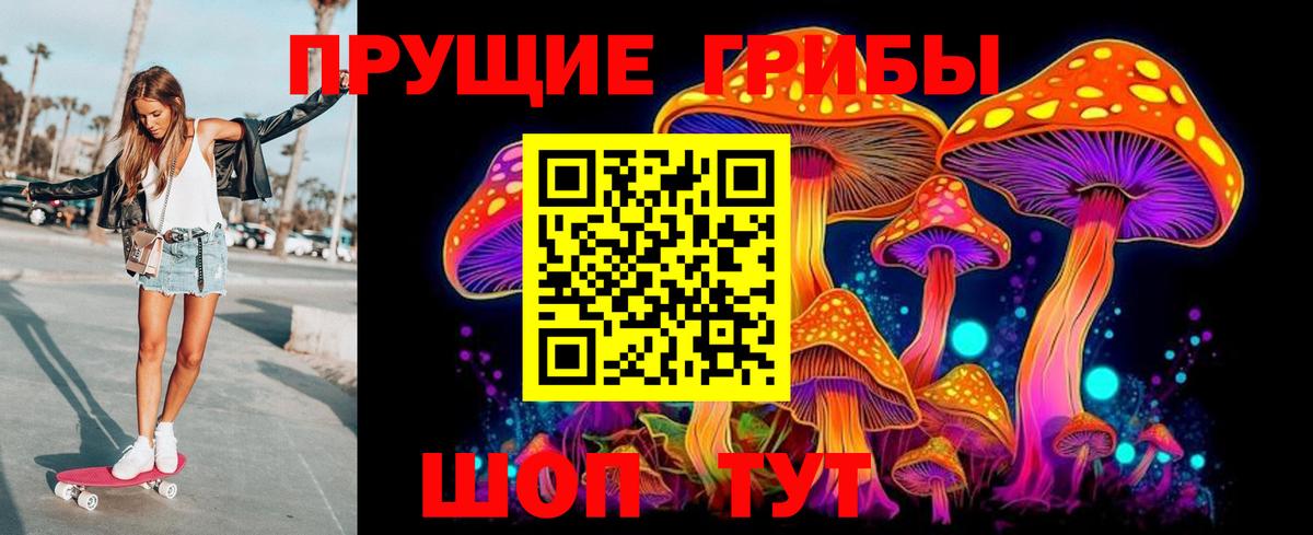 Псилоцибиновые грибы GOLDEN TEACHER  Вход с VPN  Кольчугино  Псилоцибиновые грибы мицелий 